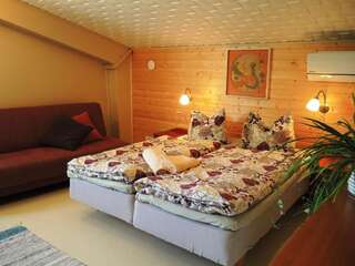 Отели типа «постель и завтрак» Tuukkalan Tila B&B Ристиина Двухместный номер с 2 отдельными кроватями и общей ванной комнатой-6